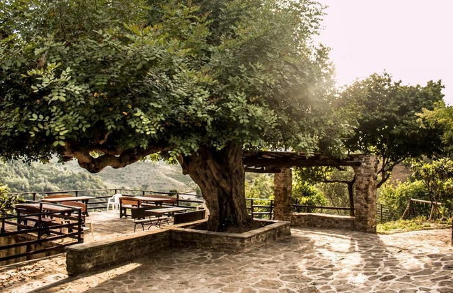 Casale storico nella campagna cilentana - Foto 25