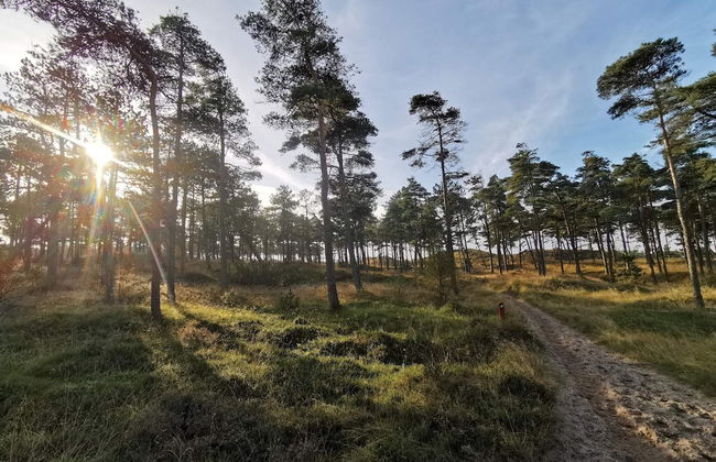 6 Person Holiday Home in Thyholm-by Traum - Photo 12