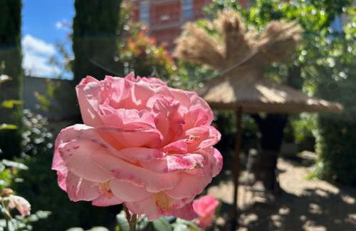 Nid d'Ange en Provence - Foto 40