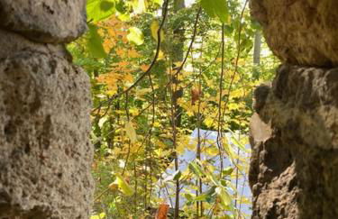 Waldfrieden Ferienhaus mit SAUNA - Foto 27