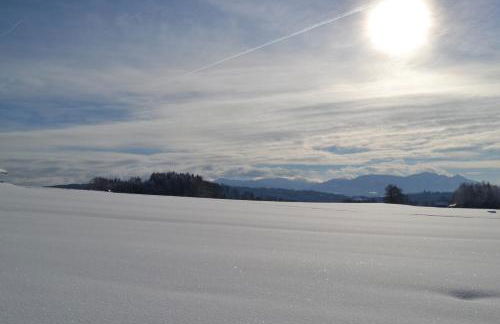 Pichler Roswitha - Foto 34