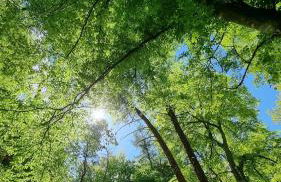 Hasenbau Wesel-Flüren - Foto 32