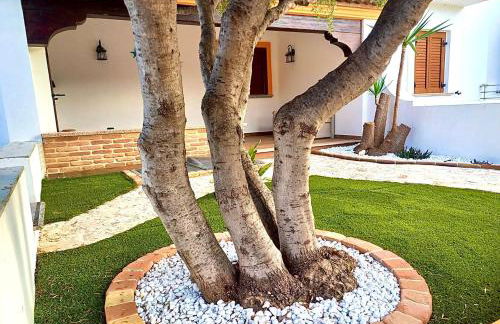 Villa ROSA Tertenia - Foto 12