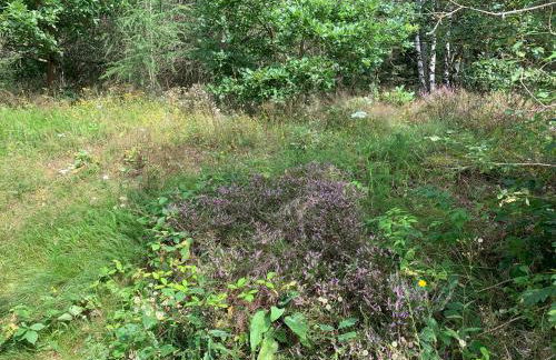 HuizeFrankenau - Foto 28