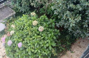 Apartment with balconies and garden - Foto 10