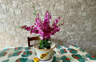 Villa Raffaela - Appartamenti Lacco Ameno - Foto 15