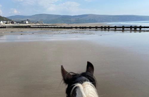 Beautiful Wales - Foto 49