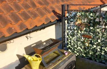 Saracens Head above the pub near Chaple st Leonards - Foto 49