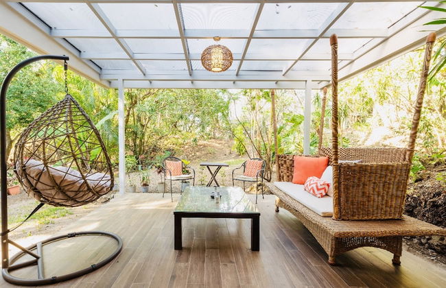 Relaxing Sound of River Birds Squirrels - Foto 22