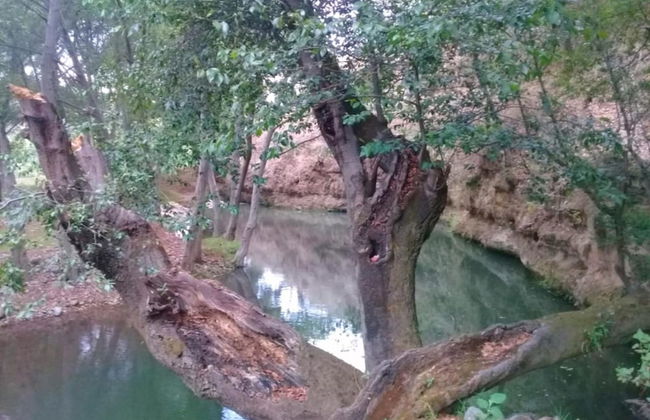 Rancho San Miguel - Foto 19