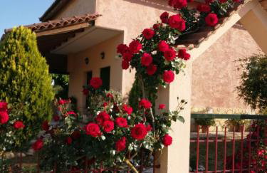 Monica's Country House - Foto 1