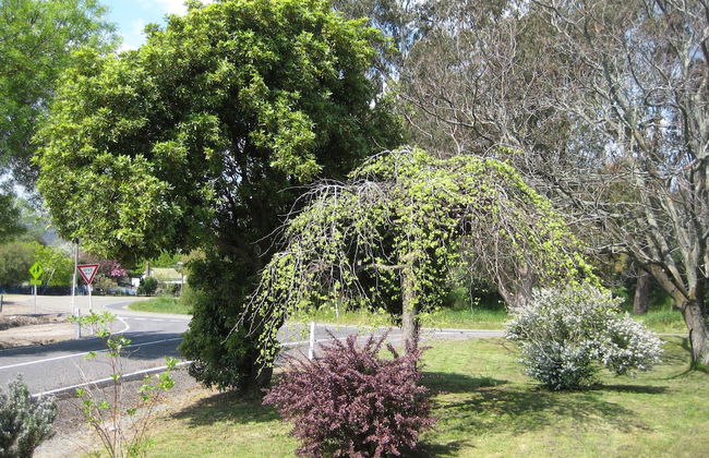 Nathan's Place - Foto 14