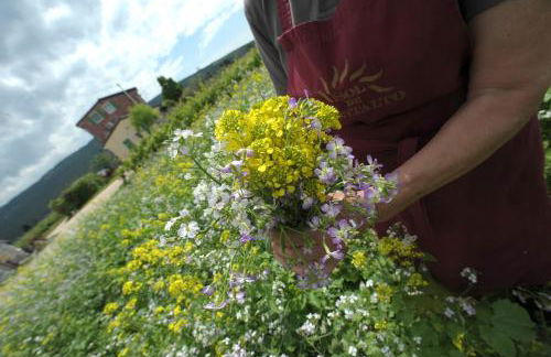 Agriturismo Sol De Montalto - Photo 33