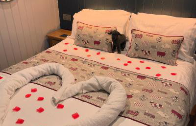 Springwood Shepherd Huts Glamping York - Photo 45