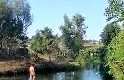 Quinta Do Alves - Foto 36