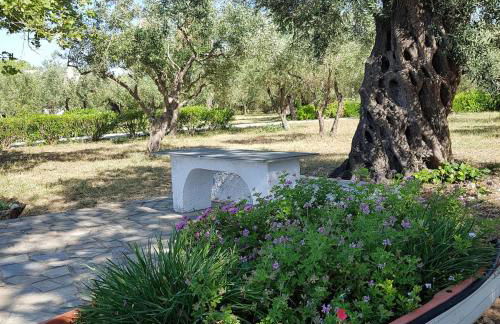 Beachfront cottage house in olive grove - Foto 45