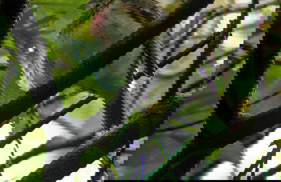 Campos de Oro Wilderness Lodge - Photo 40