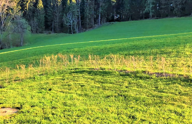 Tranquil Apartment in Polling With Terrace - Foto 28