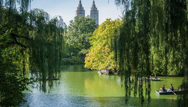 Giro romantico in carrozza (VIP-privato) a Central Park 1964 - Foto 3