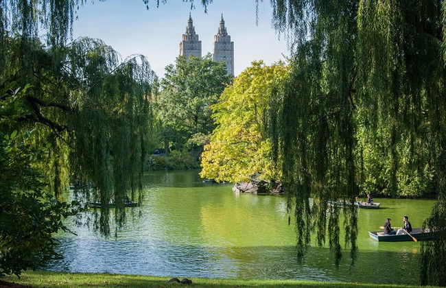 Giro romantico in carrozza (VIP-privato) a Central Park 1964 - Foto 3