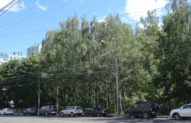 Apartment Belinskogo 11-66 - apt 79 - Foto 41