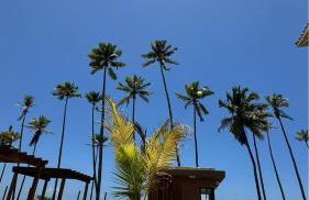 Casa e Canella - Apartamento Aconchegante Pé na Areia - Ilhéus - Foto 56