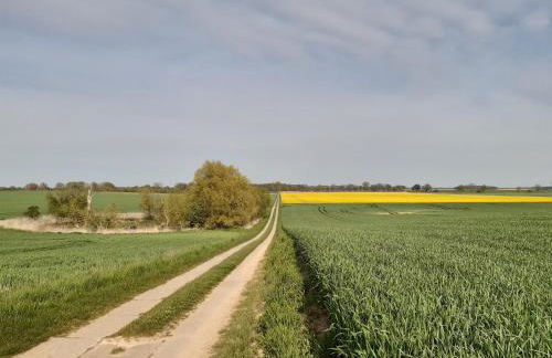 Kulturfreizeiten Ferienwohnungen - Photo 54