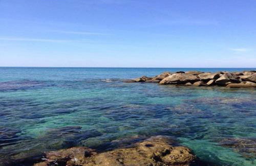 L'albero di limoni sul mare di Pizzo - Photo 50