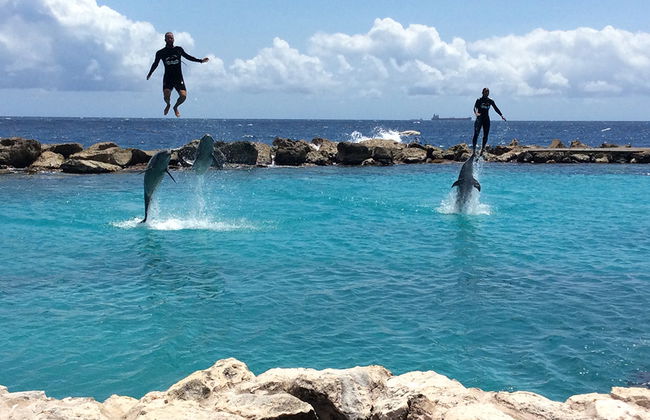 Visita all'Acquario Marino - Foto 1