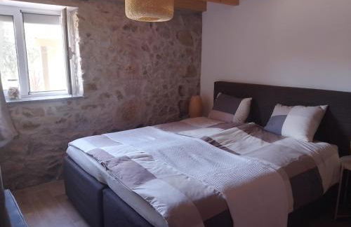 Casa de Celebrar a Vida - Foto 24