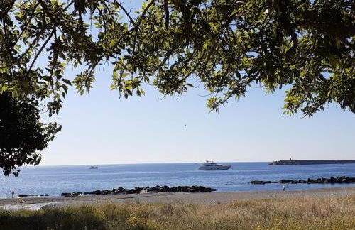 Acqua di Mare - Foto 3