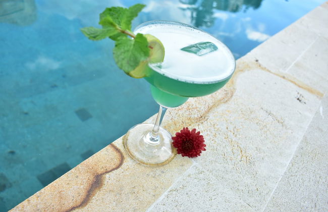 The Barari Villas - Foto 42