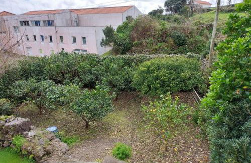 Retiro das Camélias 2 - Foto 17