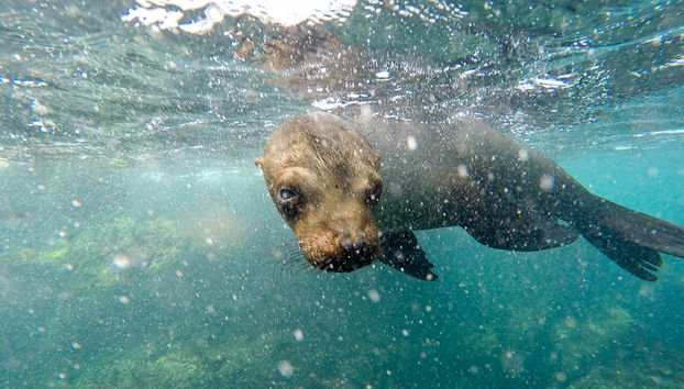 Cabo Rosa Tunnels - Tagestour - Foto 5