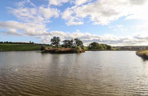 Gander Pod at Salford Court Farm Fishing Cabins - Foto 19
