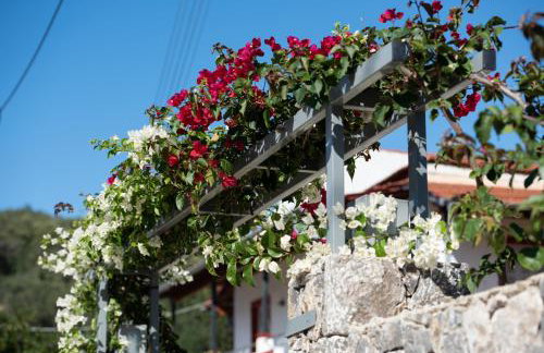 Casa Dell Amore - Foto 41