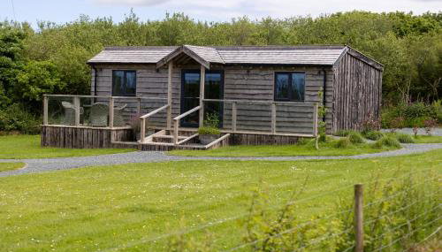 The Pig Arc - Foto 5