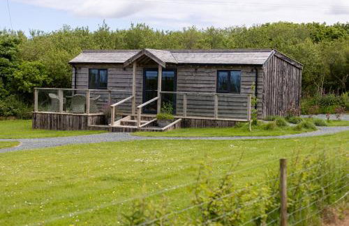 The Pig Arc - Foto 5