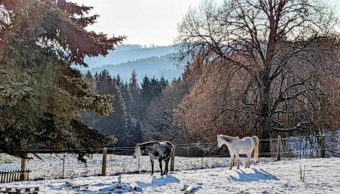Naturblick Apartment - Modernes 3-Zimmer mit Privatparkplatz - Foto 5