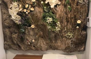 Infostays María Zambrano - Foto 29