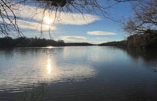 Apartment 13, Plants Yard - Photo 6