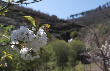Casa da Quinta do Porto - Foto 15