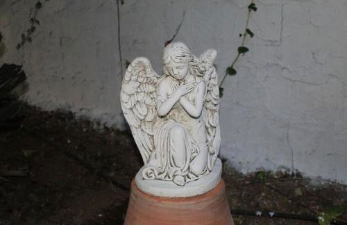 FINCA RIODIEL - Foto 32