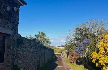 Charmant Cottage d'artistes - Foto 51