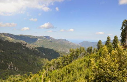 1 Bedroom Lovely Apartment In Ghisoni - Foto 1