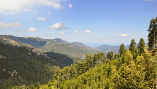 1 Bedroom Lovely Apartment In Ghisoni - Foto 1