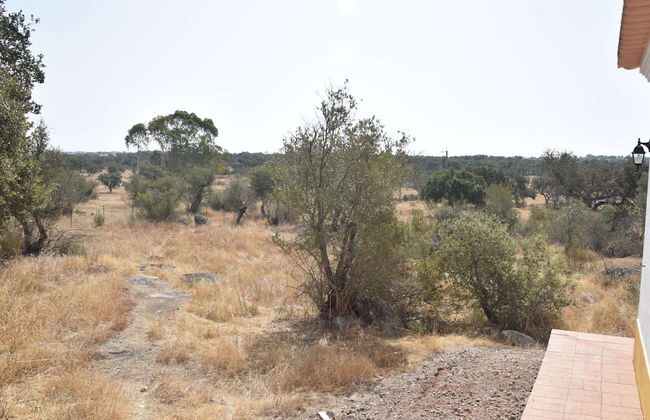 Tranquil Alentejo Villa With Pool - Foto 31