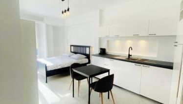 Magnifique studio avenue des diables bleus - Foto 3