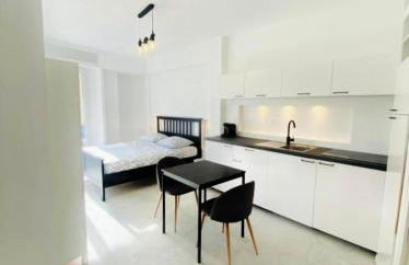 Magnifique studio avenue des diables bleus - Foto 3