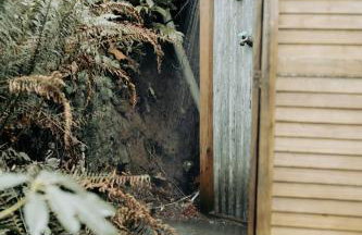 Craftsman Cabin with Columbia River views - Foto 16